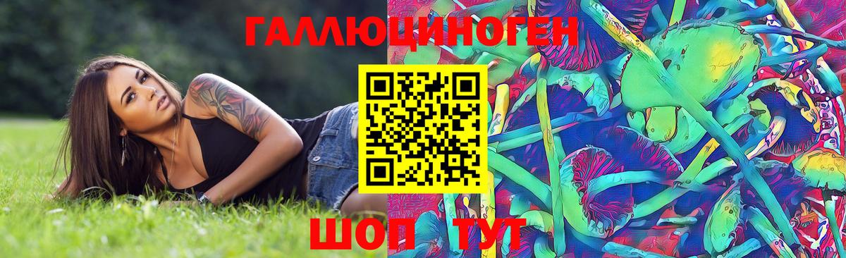 Псилоцибиновые грибы Psilocybine cubensis Дюртюли